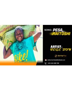 Pesa haitoshi by Tege boy