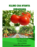 KILIMO CHA NYANYA