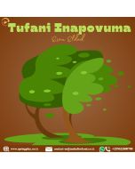 Tufani inapovuma
